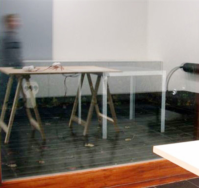 'Cabinet Discret' project Bart Vandevijvere & Laurent Rigaut (F), 2006